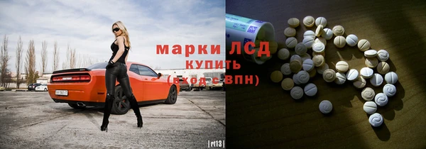 твердый Гусев