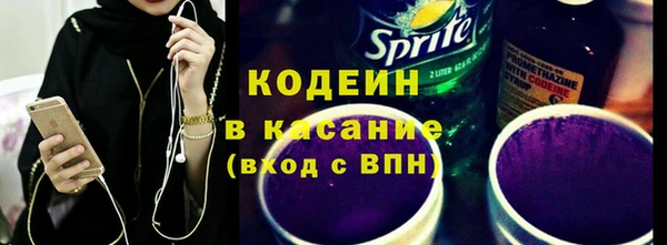 твердый Гусев