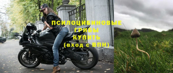 а пвп мука Гусиноозёрск