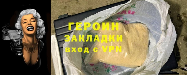 твердый Гусев