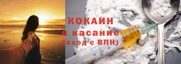 твердый Гусев