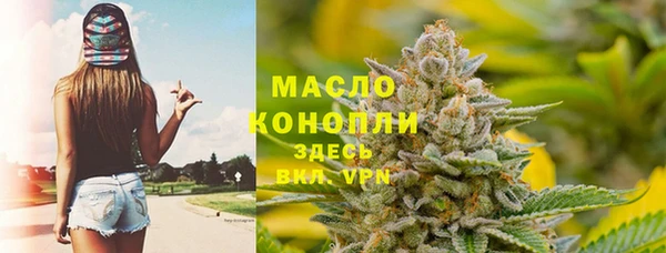 твердый Гусев