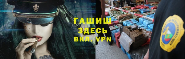 твердый Гусев