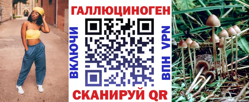 Галлюциногенные грибы GOLDEN TEACHER  Купить  Харабали 